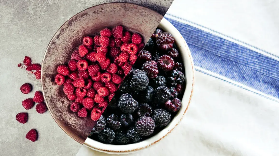 BB Fruto 21 maline i borovnice