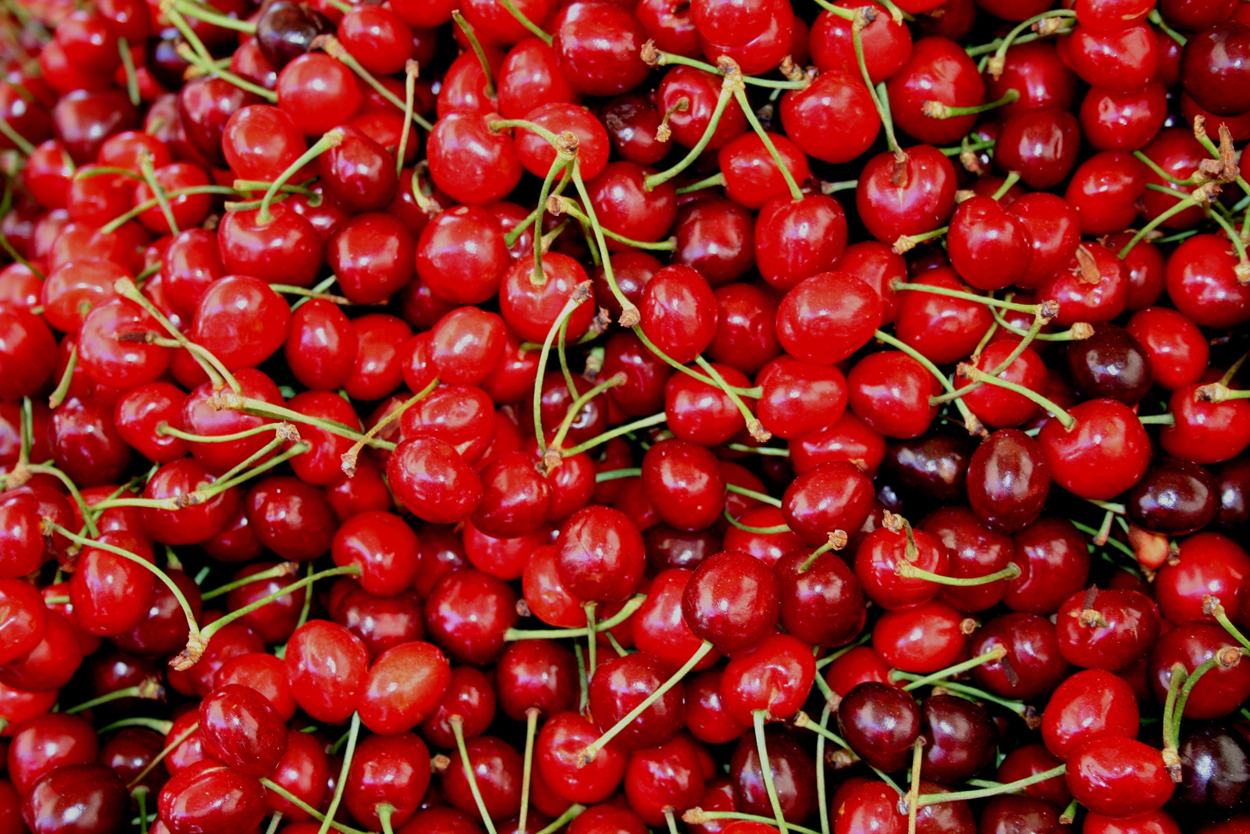 Višnje - BB Fruto 21